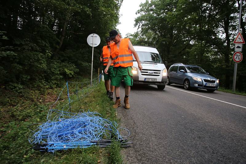 Elektrické ohradníky by měly zabránit migraci prasatům nakaženým africkým morem prasat. Ohradníky dnes začali pracovníci najaté firmy instalovat v úseku Zlín-Fryšák.