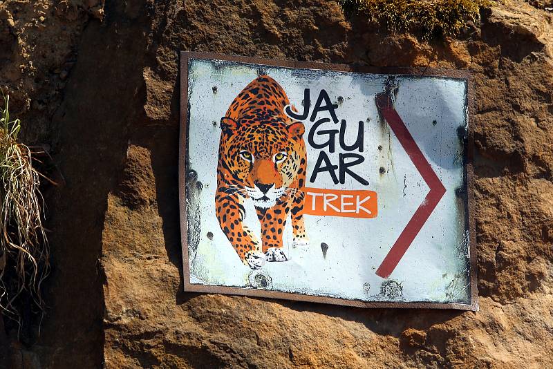 Slavnostní otevření Jaguar Trek v ZOO Lešná.