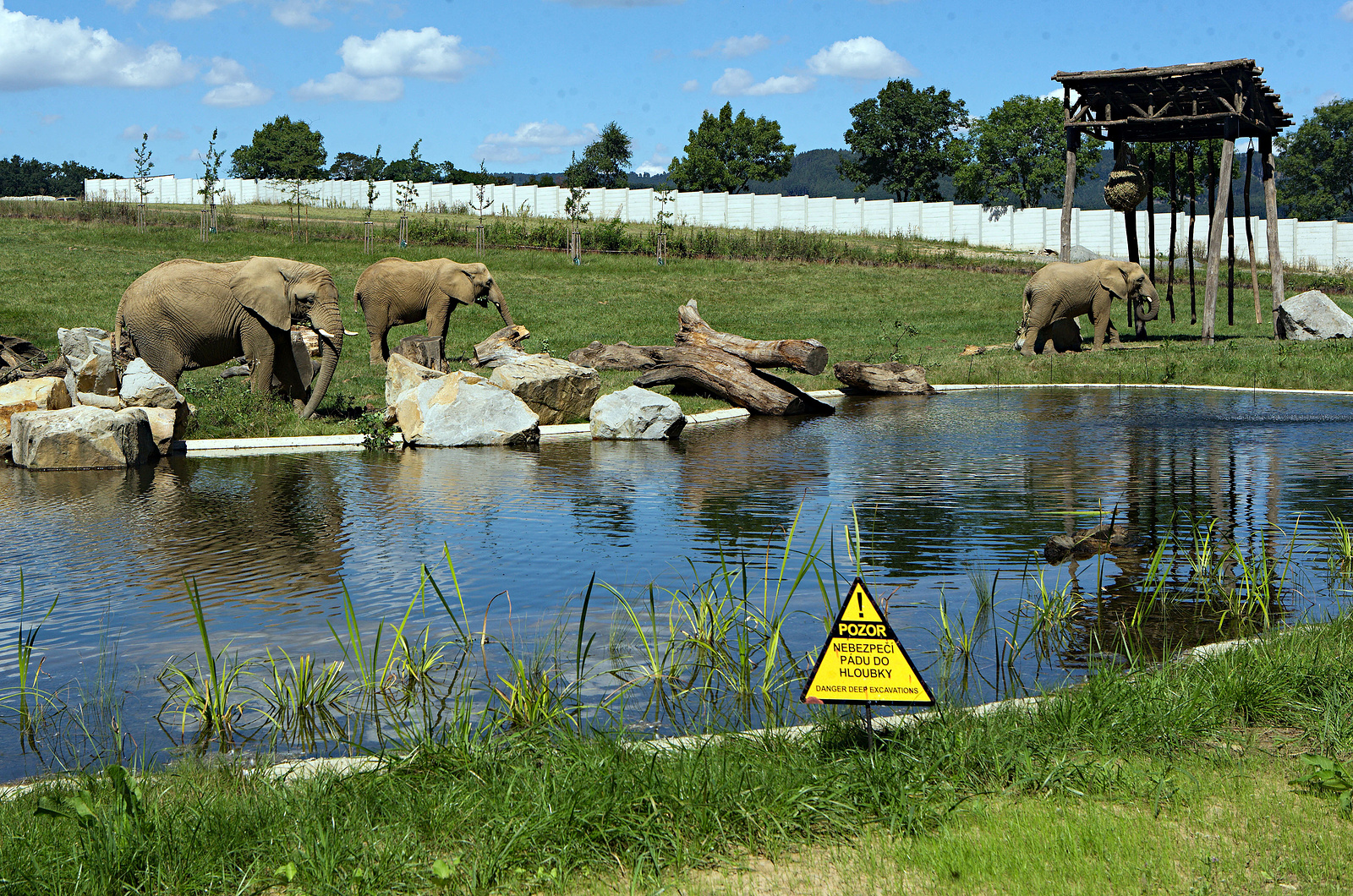 Nový výběh pro slony Karibuni ve zlínské zoo otevřel. Podívejte se -  Olomoucký deník