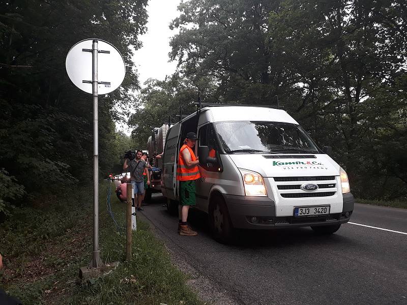 Elektrické ohradníky by měly zabránit migraci prasatům nakaženým africkým morem prasat.