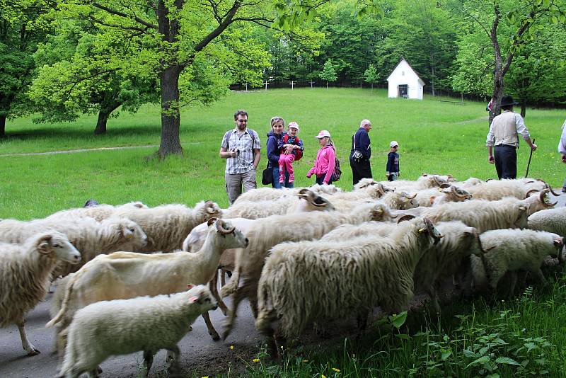 Valašské muzeum v přírodě v Rožnově pod Radhoštěm