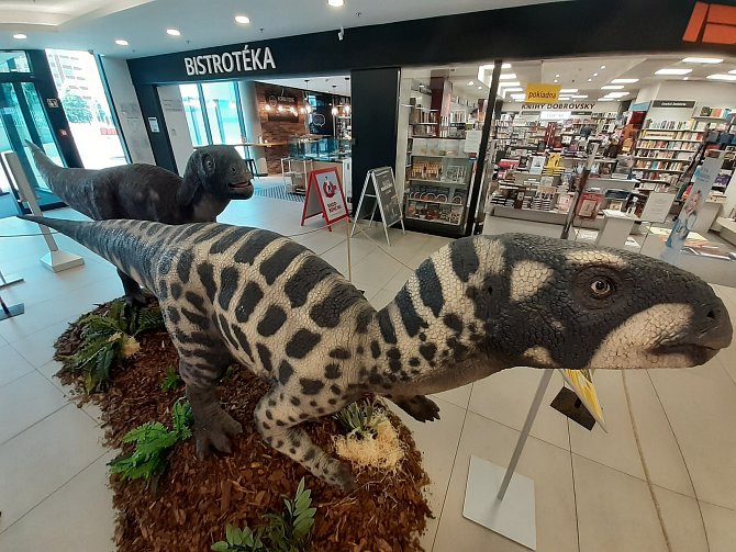 Dinosauři lákají na unikátní výstavu obrazů Zdeňka Buriana v Obchodňáku.