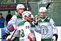 1. hokejbalová liga, Malenovice-Hodonín