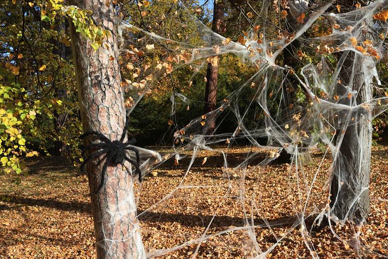 Haloween a mláďata v ZOO Lešná.