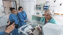Zástupci krajské policie předali sestrám z neonatologického oddělení pět přehozů na inkubátory. Ty byly pořízeny z částky, kterou policisté mezi sebou vybrali.
