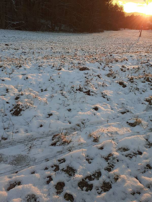 Skiareály ve Zlínském kraji praskaly o víkendu ve švech. Přesto si lidé zimní radovánky užili. Skiareál Trnava na Zlínsku.