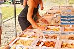 V pátek 9. srpna a v sobotu 10. srpna 2013 se v Napajedlech konal třináctý ročník folklórní akce Moravské chodníčky. V sobotu se konal ve městě na tamním náměstí také farmářský trh.