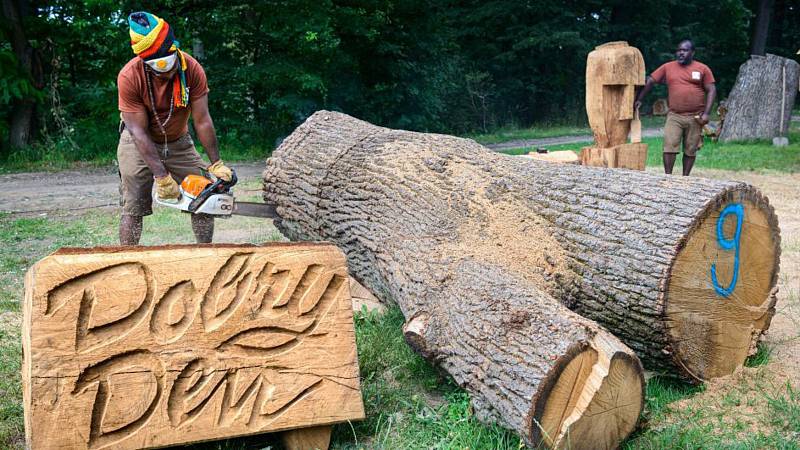 Afričtí řezbáři opět pracují v zoo ve Zlíně na dřevěných sochách.