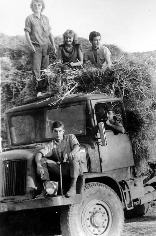 1961. Ženy a muži při žních v Sehradicích v roce 1961.