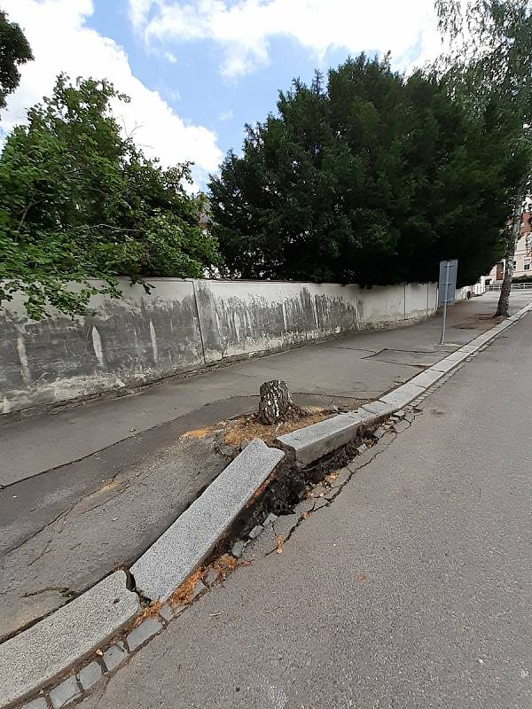 Přírodní živel poničil ve čtvrtek 24. června v Luhačovicích budovy, komunikace i zeleň.