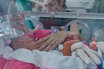 O předčasně narozené děti se v České republice starají perinatologická centra