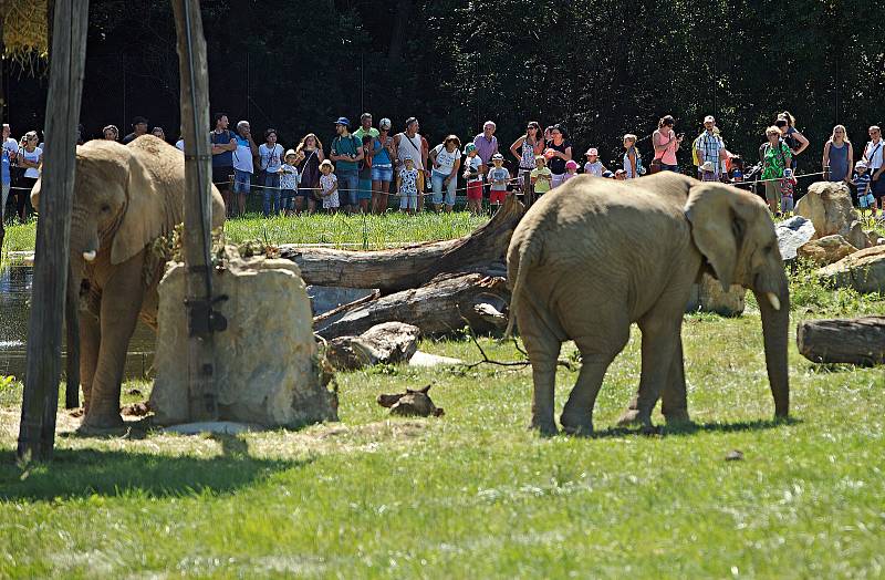 Nový výběh pro slony Karibuni ve zlínské zoo