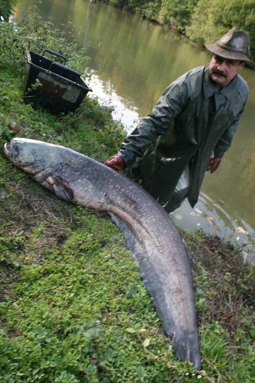 21. výlov Zboženského rybníka ve Zlíně lámal rekordy. Ve výlovu i prodeji ryb a také v návštěvnosti. Celkem vylovili rybáři 17 metráků ryb, 16 hned prodali.