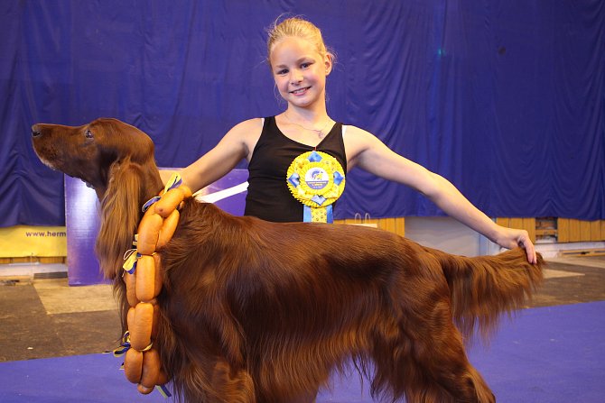 Hafan sympaťák. Bernard „Bertík“ Lord Everdene, sedmiletý irský setr se stal vítězem kategorie Pes sympatie a vyhrál také 3. místo v kategorii Nejlepší pes.