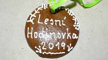 Zlínská lesní hodinovka 2019