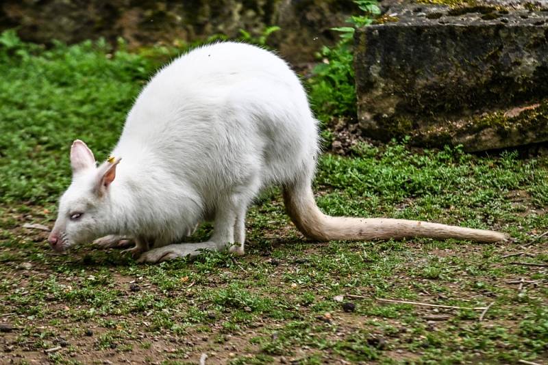 Na návštěvě v Zoo Zlín.