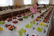 Okresní výstava ovoce a zeleniny v Machové.