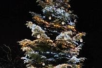 Vánoční strom Neubuz