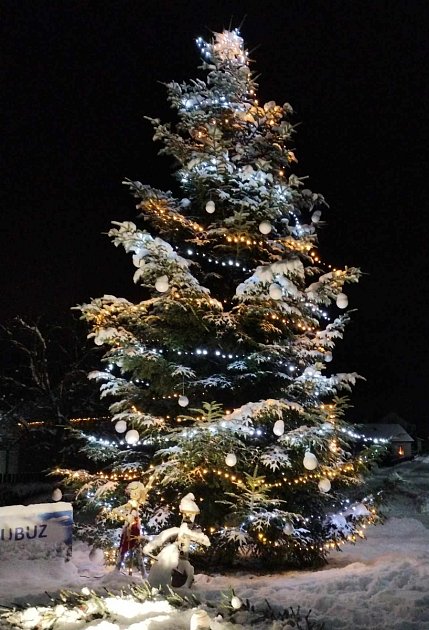 Vánoční strom Neubuz