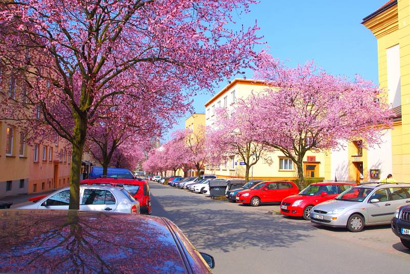 Pohledy na Zlín i přírodu.