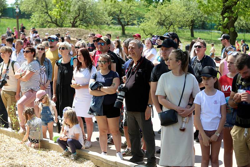 Slavnostní otevření Jaguar Trek v ZOO Lešná.