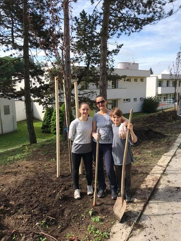 Sázení stromů v Luhačovicích, 15. května 2021