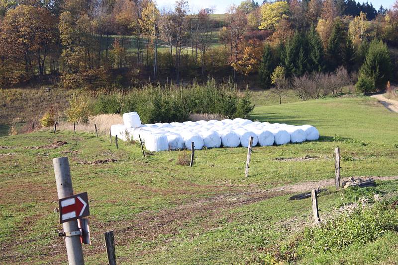 Farma, kde došlo k úhynu skotu. Podle policie šlo o zanedbání péče.