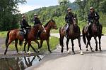 Pátrací akce policie ČR v lužním lese za Otrokovicemi.