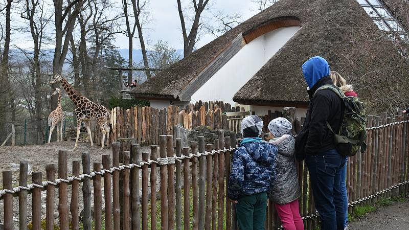 Zlínská zoologická zahrada, duben 2021.