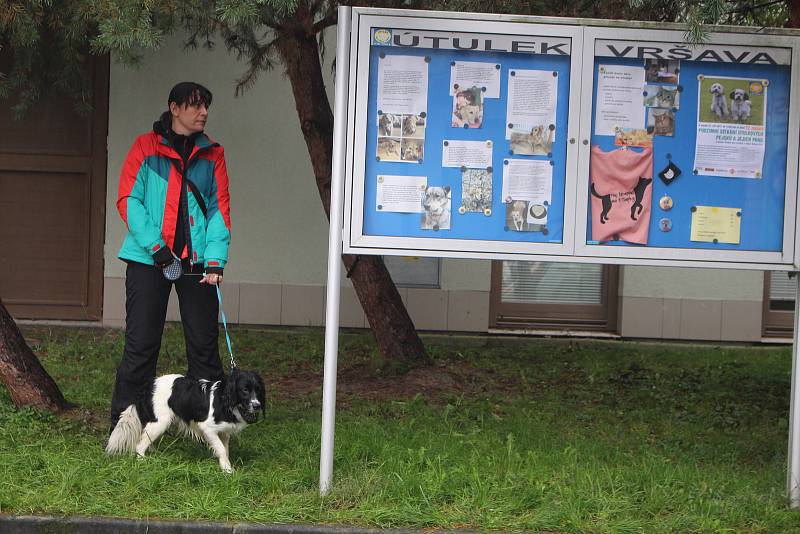 Podzimní setkání útulkových psů a jejich majitelů ve Zlíně na Vršavě.