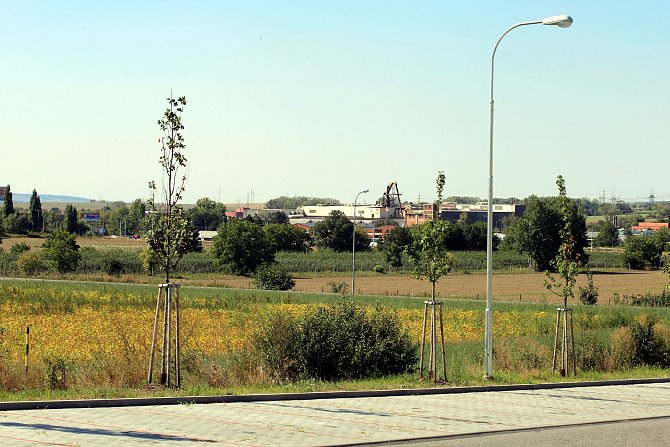 Pozemek pro stavbu nové krajské nemocnice v Malenovicích.