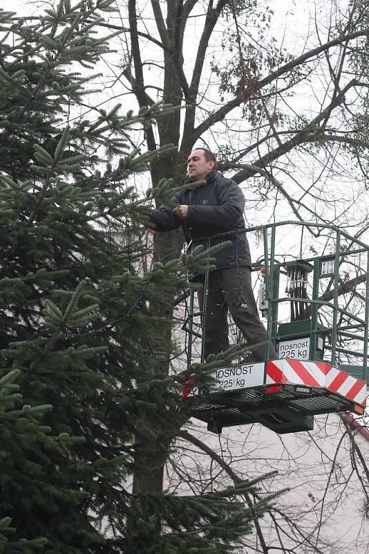 Zdobení vánočního stromu na náměstí Míru ve Zlíně.