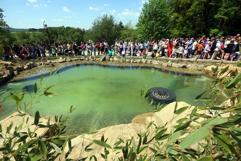 Slavnostní otevření Jaguar Trek v ZOO Lešná.