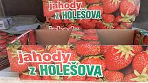 Samosběr jahod na Jahodové farmě v Holešově.