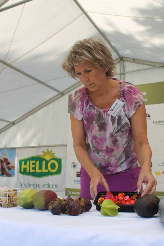 Food Festival v Luhačovicích