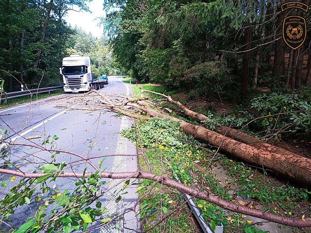 Vítr v kraji kácel stromy. Jeden spadl na trafostanici, další trefil tři zaparkovaná auta; čtvrtek 21. září 2023