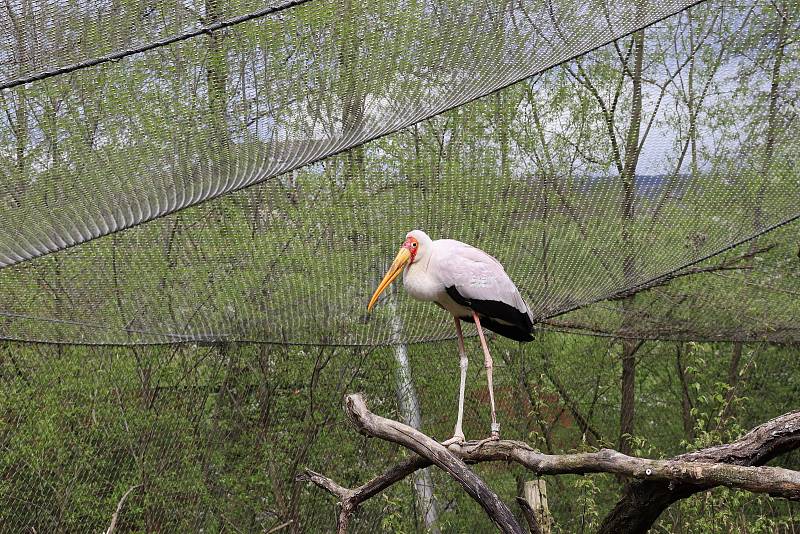 Česká centrála cestovního ruchu CzechTourism zveřejnila přehled nejnavštěvovanějších tuzemských turistických cílů. Na pátém místě je uvedena ZOO Zlín