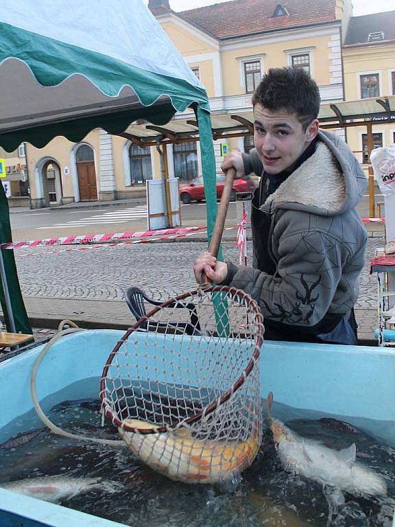 Kapr, losos pstruh či pangasius. To jsou ryby, které skončí na štědrovečerním stole. Někteří dokonce už využili i posledního farmářského trhu, který byl v sobotu10. prosince ve Fryštáku a nakoupili si takřka bez fronty svou vánoční rybu.