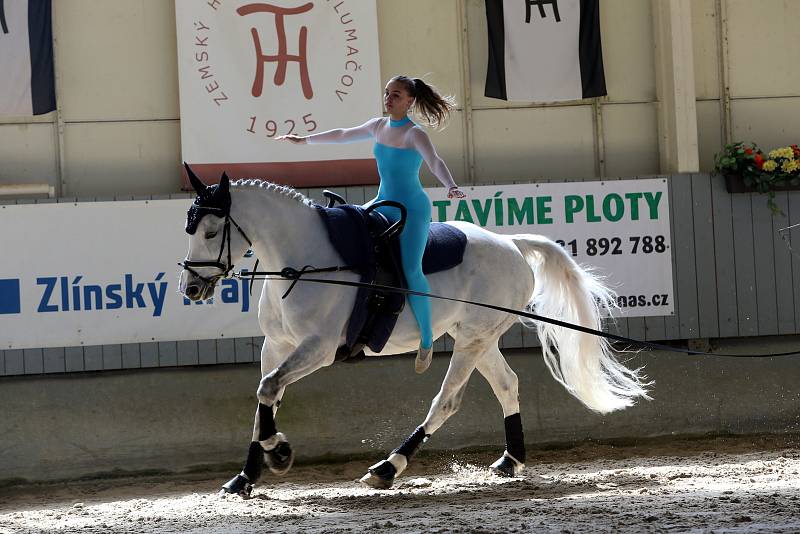 Přátelské voltižní závody. Zemský hřebčín Tlumačov.