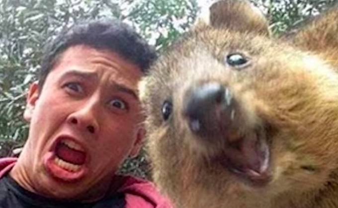 A skvělé selfie se zvířátkem.