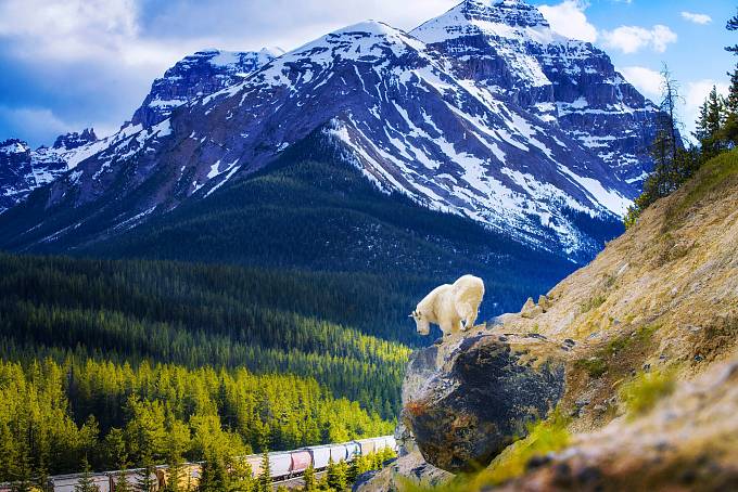 Yoho National Park