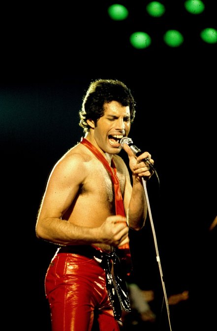 Freddie Mercury si přiznal, že je homosexuál až po sedmiletém vztahu s Mary Austin. 