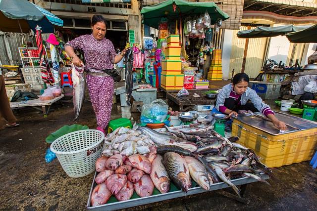 Na trhu se dá koupit mnoho ryb – například chňapal červený.