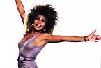 Tina v roce 1984 vydala album Private Dancer, které změnilo její život.