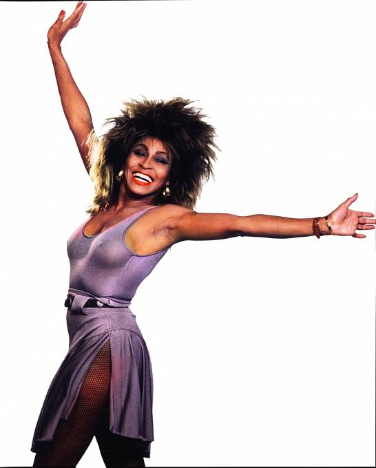 Tina v roce 1984 vydala album Private Dancer, které změnilo její život.