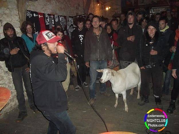 V nočních klubech je řada možností, jak se zabavit. Někdy místo alkoholu stačí pozorovat ostatní hosty.