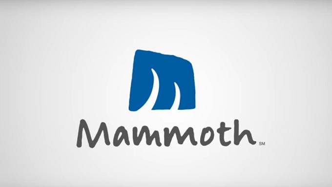 Mammoth je značka sportovního vybavení.