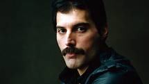 Freddie Mercury