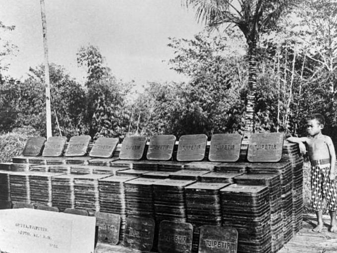 Hotové desky z plantáže Tjipetir na dobovém snímku