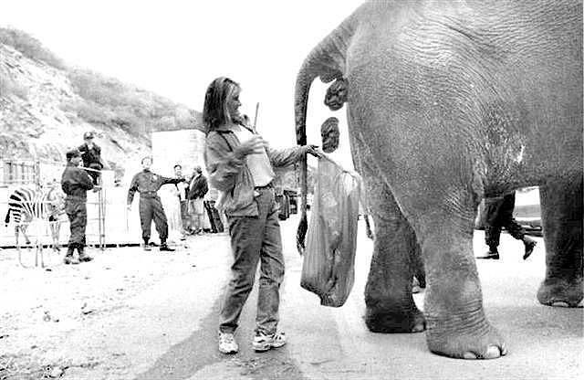 Sběrač sloního trusu.